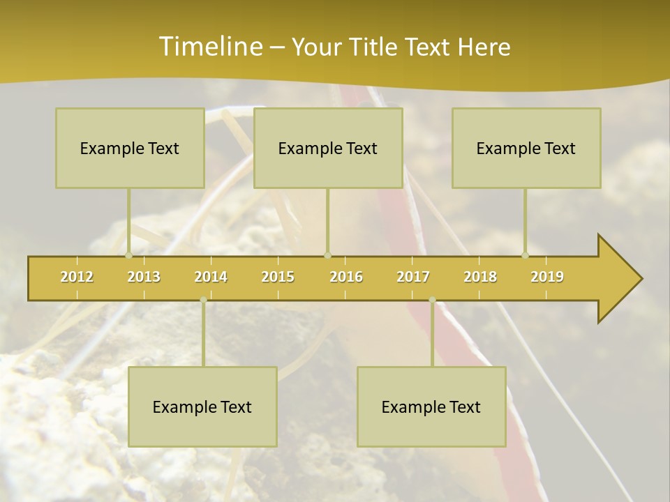 Shrimp Saltwater Feeler PowerPoint Template