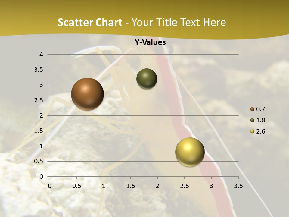 Shrimp Saltwater Feeler PowerPoint Template