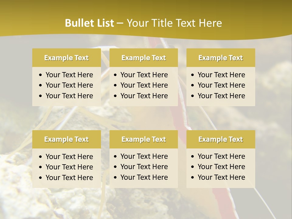 Shrimp Saltwater Feeler PowerPoint Template