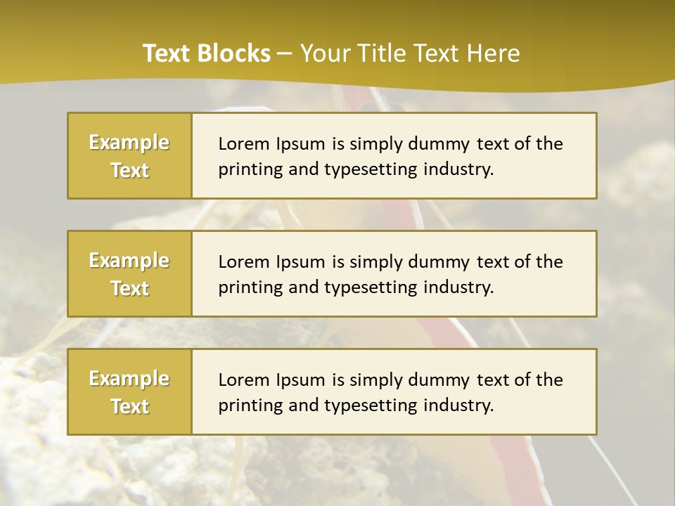 Shrimp Saltwater Feeler PowerPoint Template