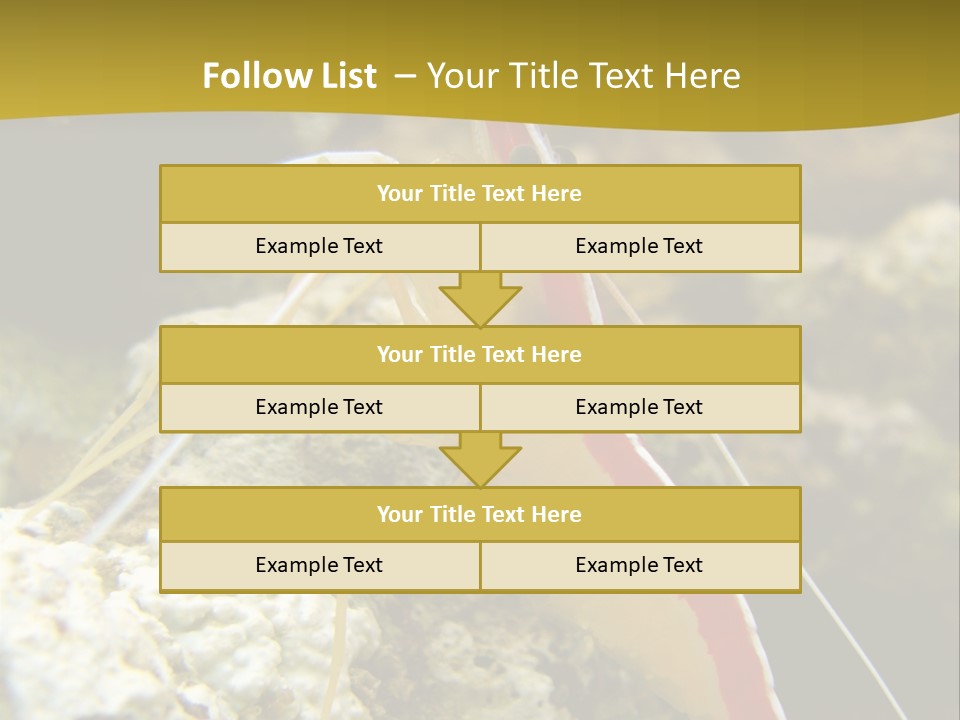 Shrimp Saltwater Feeler PowerPoint Template