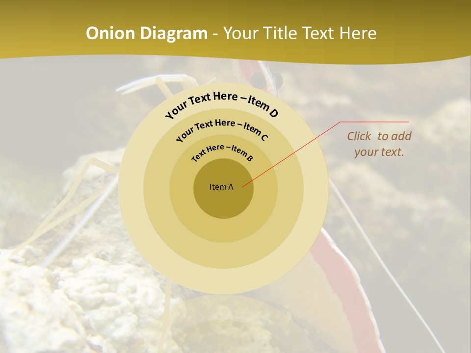 Shrimp Saltwater Feeler PowerPoint Template