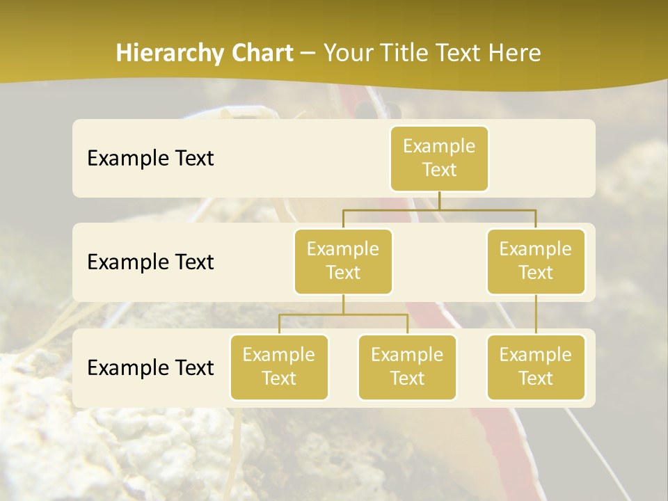 Shrimp Saltwater Feeler PowerPoint Template