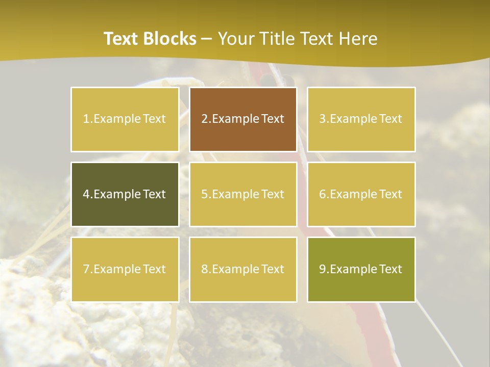 Shrimp Saltwater Feeler PowerPoint Template