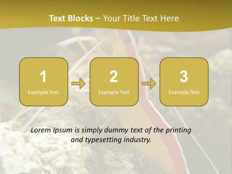 Shrimp Saltwater Feeler PowerPoint Template