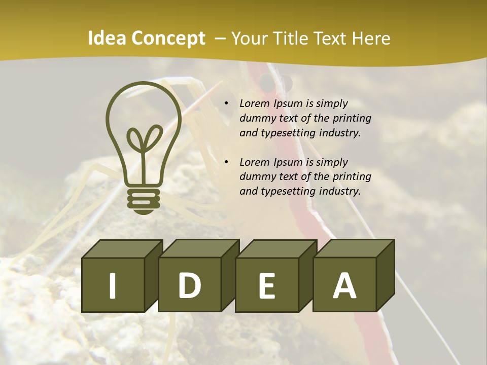 Shrimp Saltwater Feeler PowerPoint Template