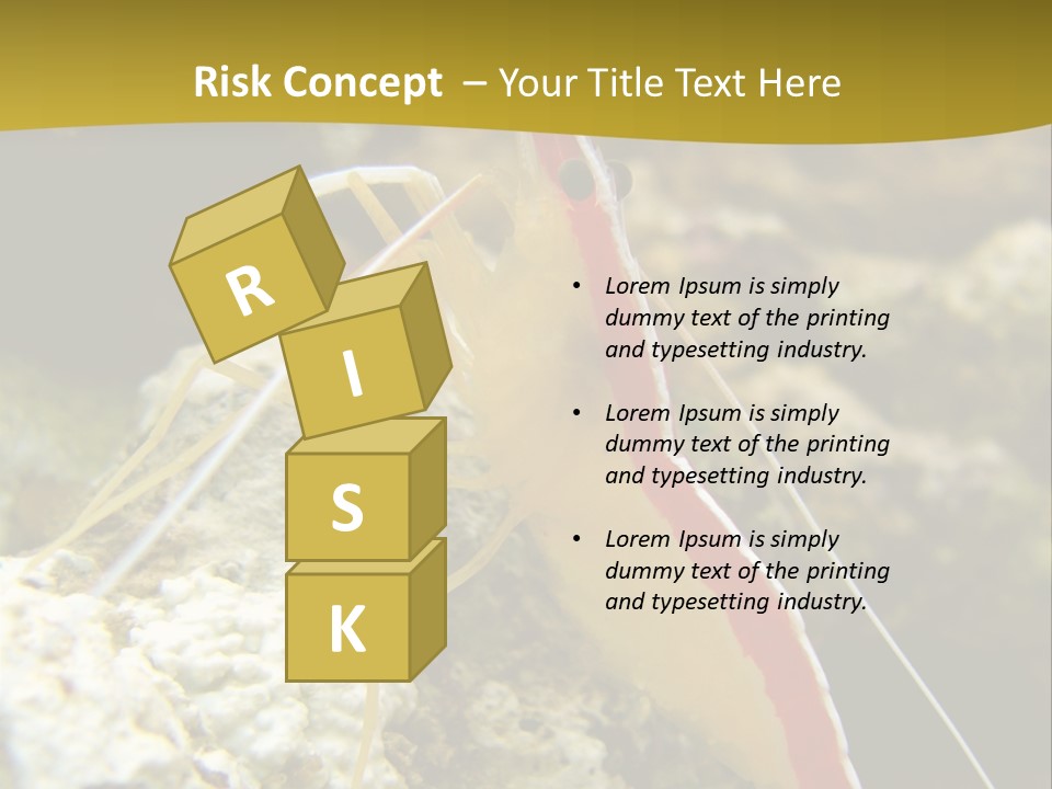 Shrimp Saltwater Feeler PowerPoint Template