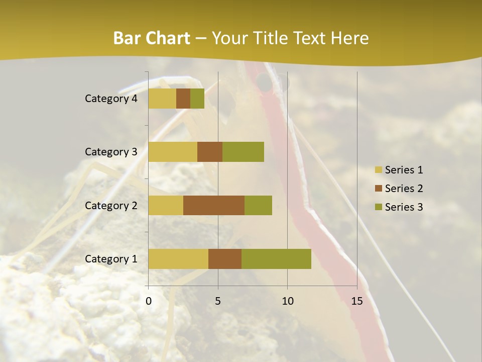 Shrimp Saltwater Feeler PowerPoint Template