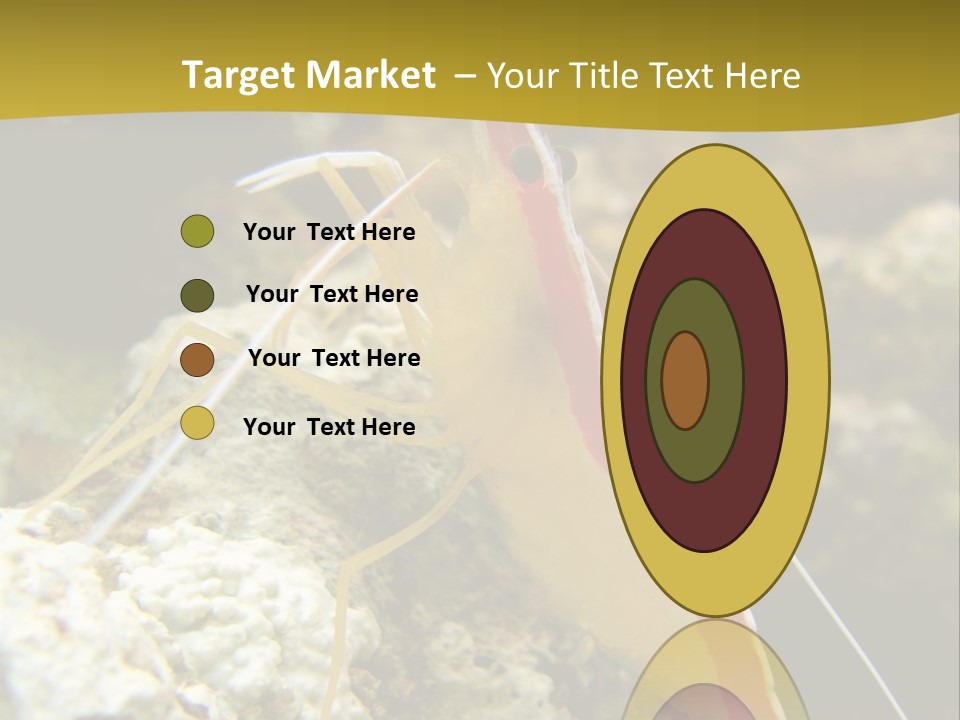 Shrimp Saltwater Feeler PowerPoint Template