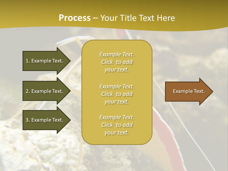 Shrimp Saltwater Feeler PowerPoint Template