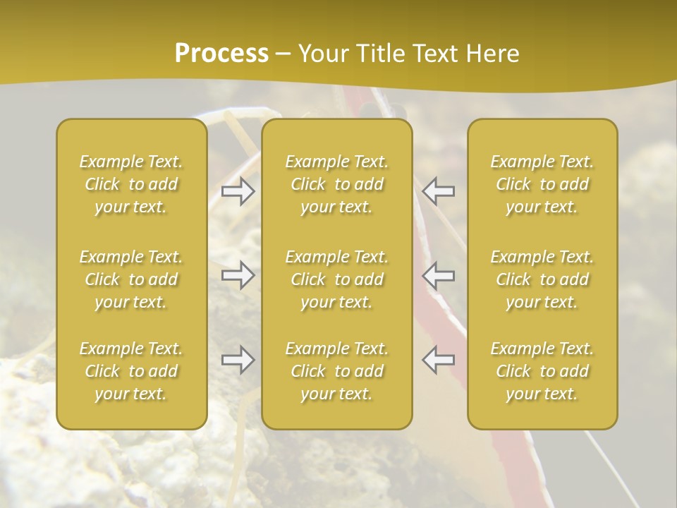 Shrimp Saltwater Feeler PowerPoint Template