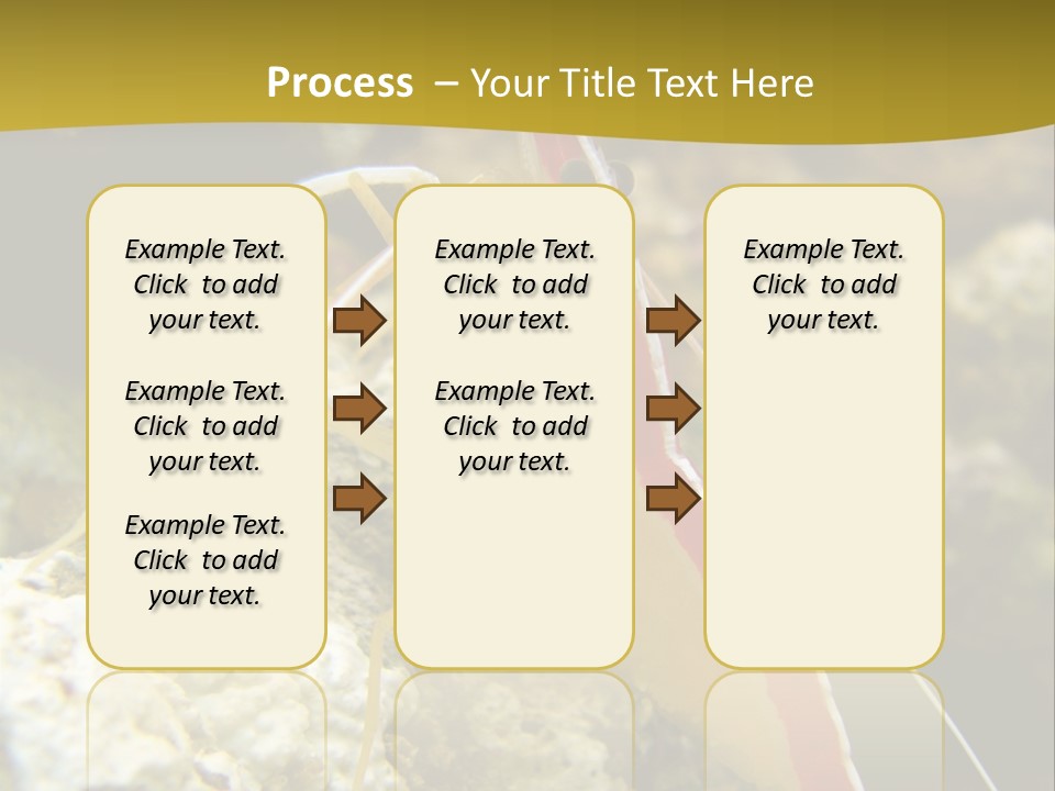 Shrimp Saltwater Feeler PowerPoint Template