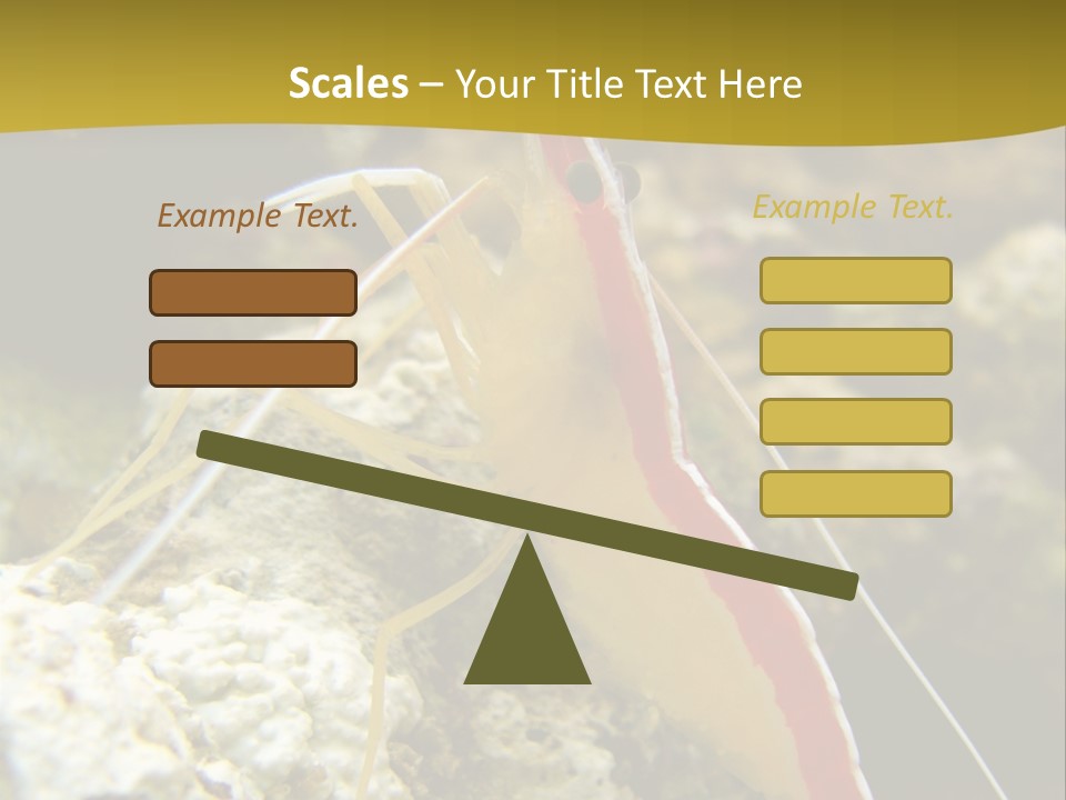 Shrimp Saltwater Feeler PowerPoint Template