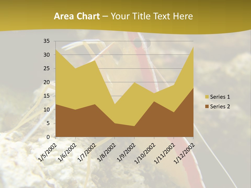 Shrimp Saltwater Feeler PowerPoint Template