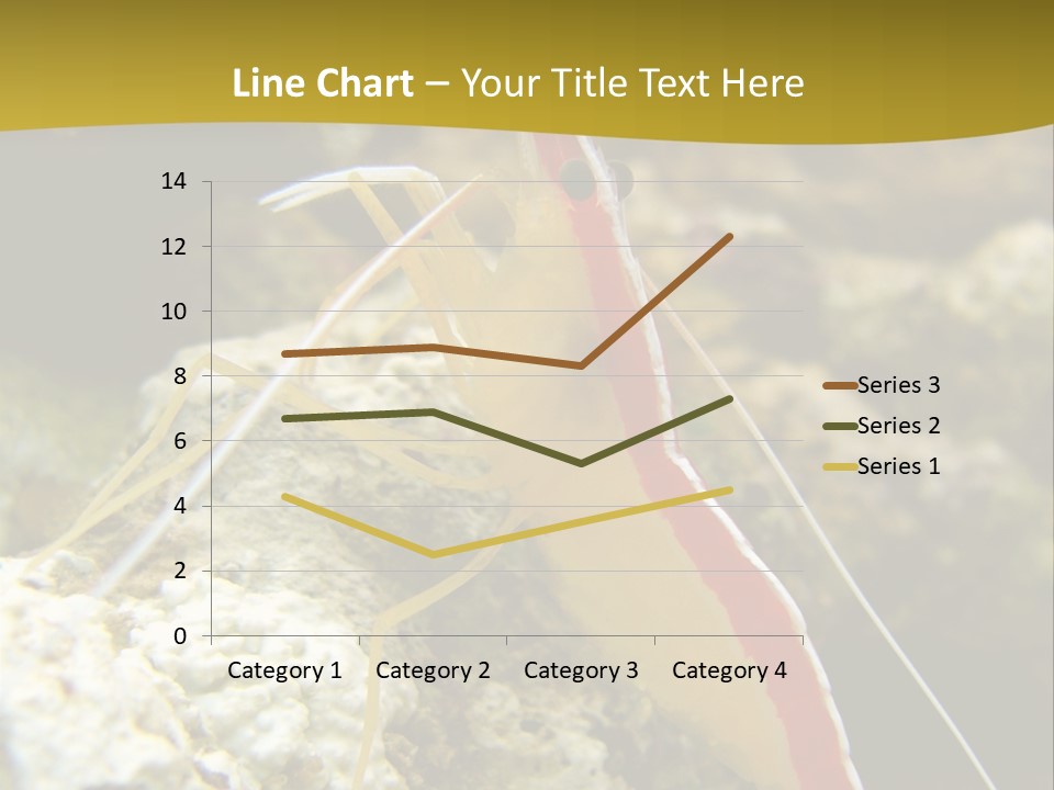 Shrimp Saltwater Feeler PowerPoint Template