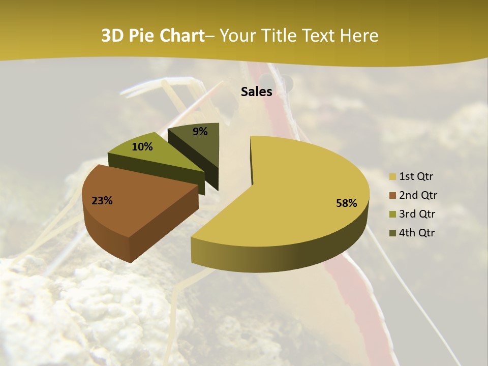 Shrimp Saltwater Feeler PowerPoint Template
