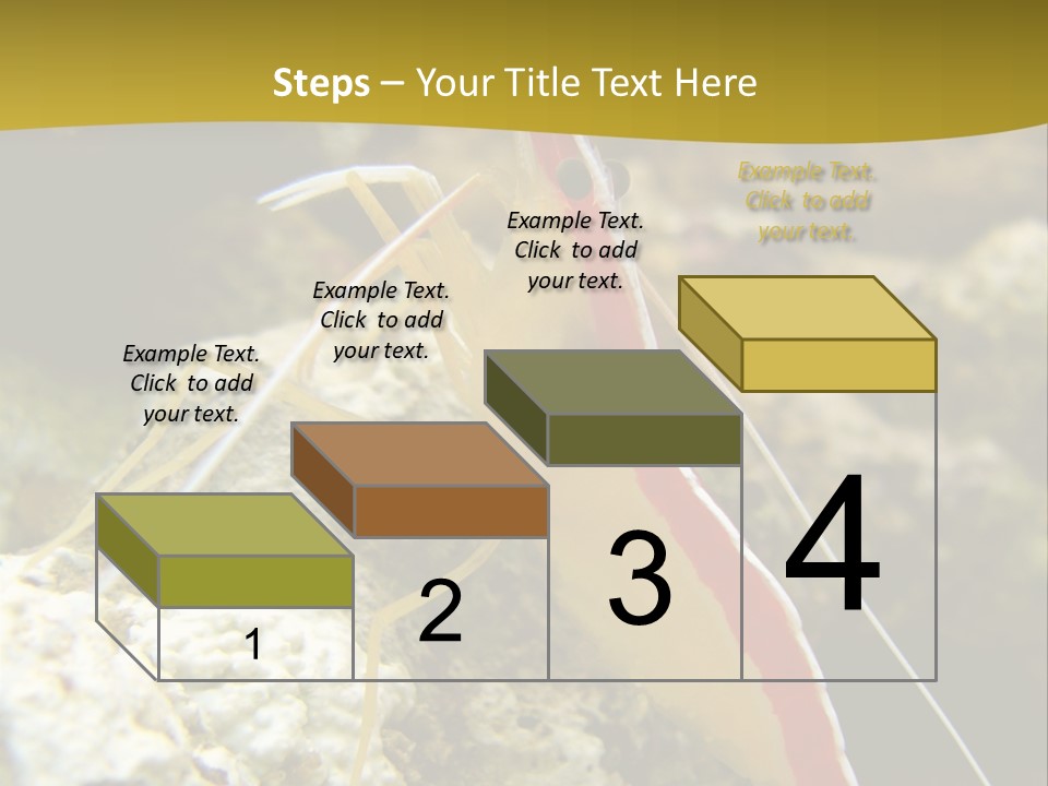 Shrimp Saltwater Feeler PowerPoint Template