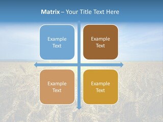 Insurance Economy Crisis PowerPoint Template