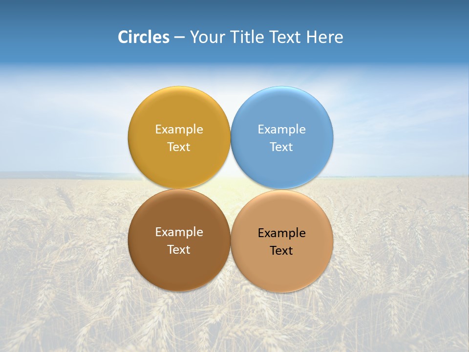 Insurance Economy Crisis PowerPoint Template