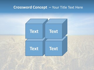 Insurance Economy Crisis PowerPoint Template