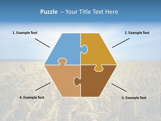 Insurance Economy Crisis PowerPoint Template
