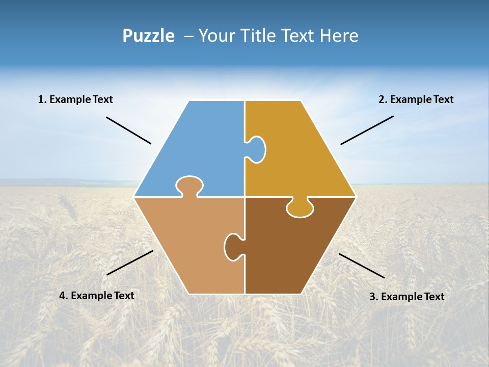 Insurance Economy Crisis PowerPoint Template
