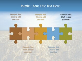 Insurance Economy Crisis PowerPoint Template