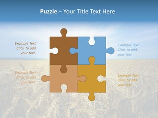 Insurance Economy Crisis PowerPoint Template
