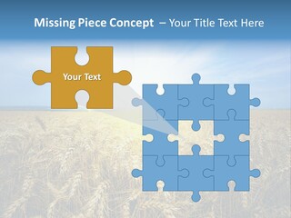 Insurance Economy Crisis PowerPoint Template