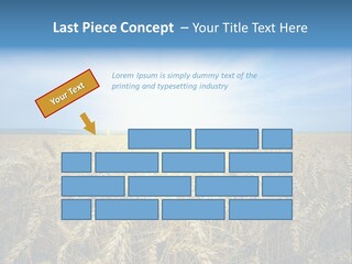 Insurance Economy Crisis PowerPoint Template