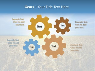 Insurance Economy Crisis PowerPoint Template