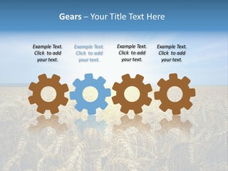 Insurance Economy Crisis PowerPoint Template