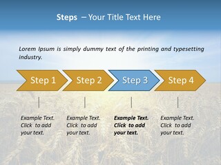 Insurance Economy Crisis PowerPoint Template