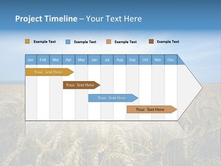 Insurance Economy Crisis PowerPoint Template