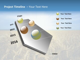 Insurance Economy Crisis PowerPoint Template