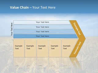 Insurance Economy Crisis PowerPoint Template