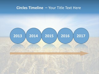 Insurance Economy Crisis PowerPoint Template