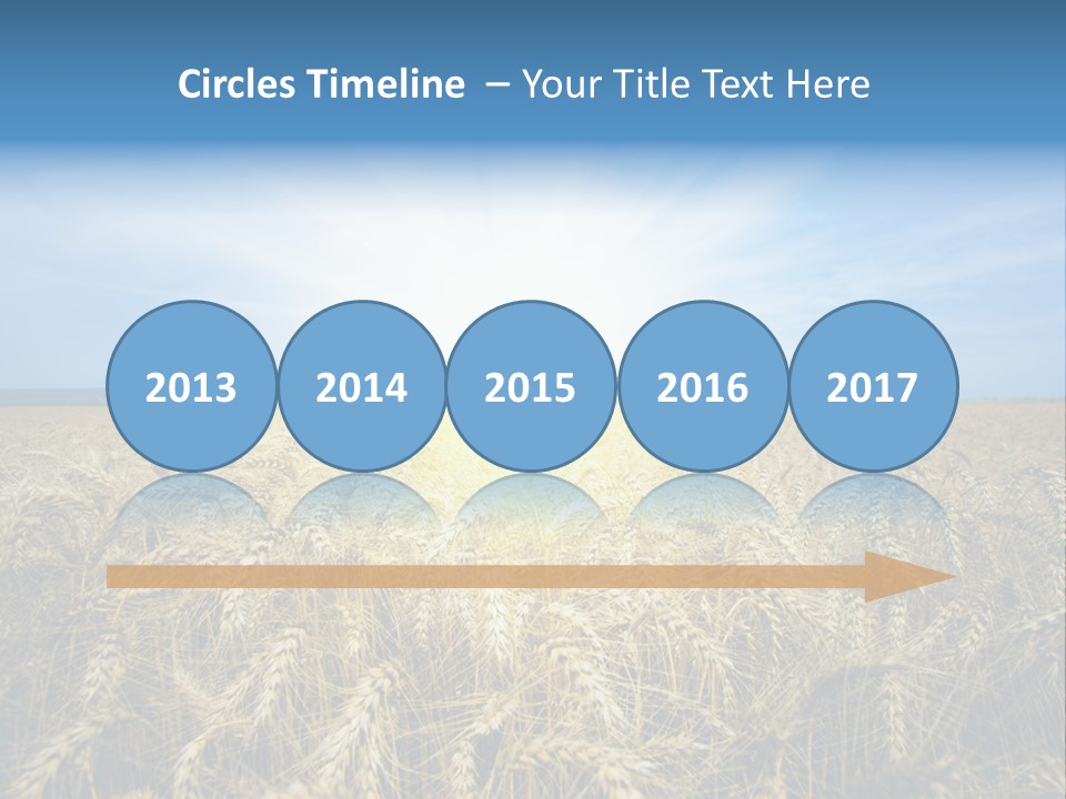 Insurance Economy Crisis PowerPoint Template