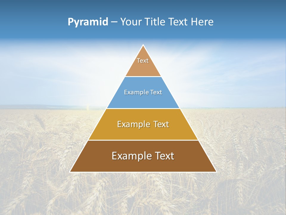 Insurance Economy Crisis PowerPoint Template