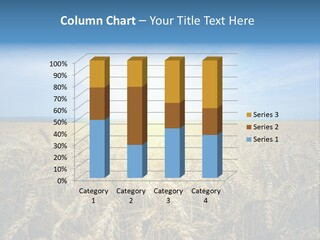 Insurance Economy Crisis PowerPoint Template