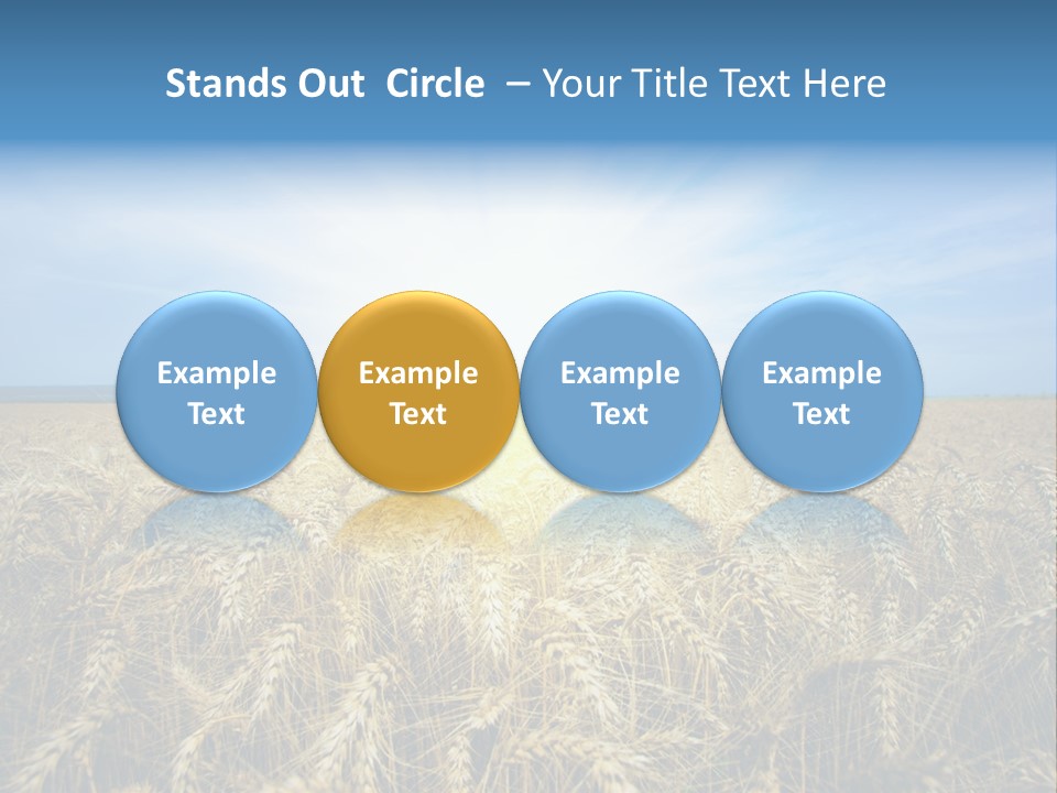 Insurance Economy Crisis PowerPoint Template