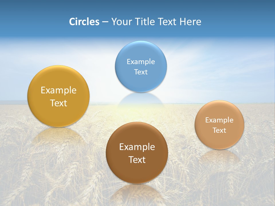 Insurance Economy Crisis PowerPoint Template