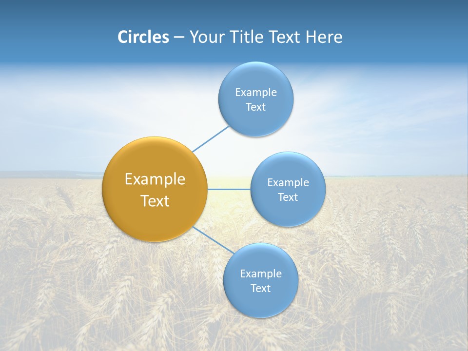 Insurance Economy Crisis PowerPoint Template