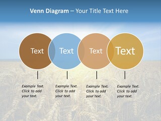 Insurance Economy Crisis PowerPoint Template