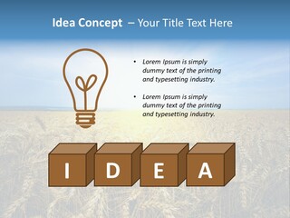 Insurance Economy Crisis PowerPoint Template