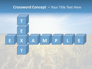 Insurance Economy Crisis PowerPoint Template