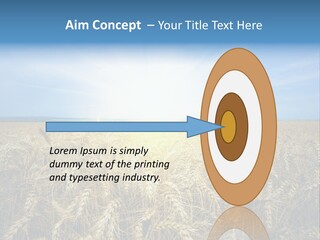 Insurance Economy Crisis PowerPoint Template