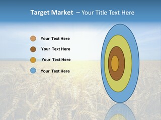 Insurance Economy Crisis PowerPoint Template