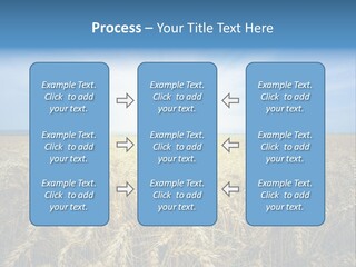 Insurance Economy Crisis PowerPoint Template