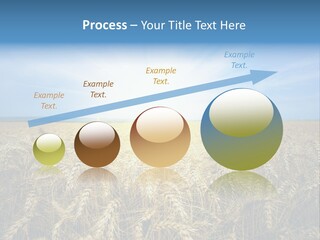 Insurance Economy Crisis PowerPoint Template